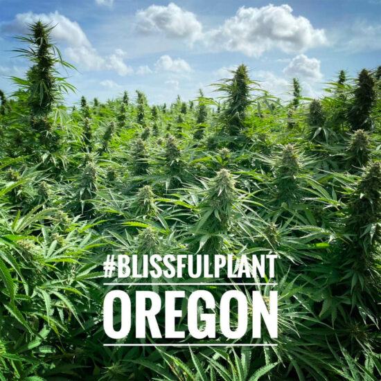 Oregon Hemp