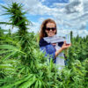 Lady Holding Blissful Plant Box in Hemp Field