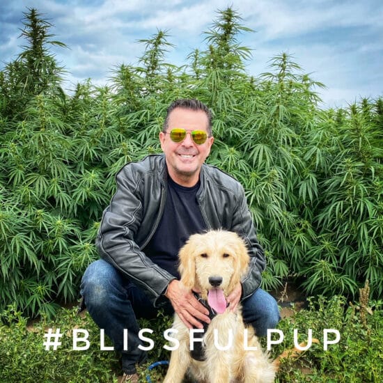 Man and Dog in front of Hemp Fields